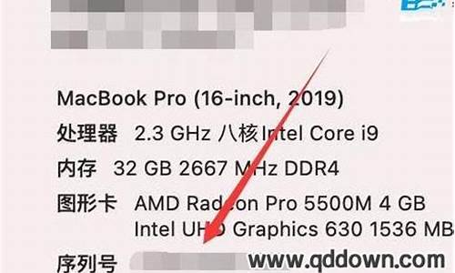苹果电脑系统序列号查询,苹果电脑系统序列号