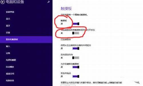 电脑设置里没有触摸板这一选项_电脑系统不带触摸板咋卸载