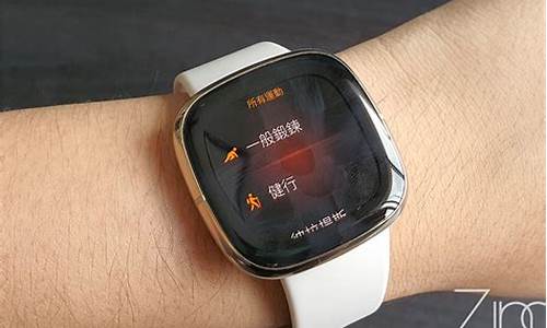 fitbit笔记本电脑系统,fitbit桌面版