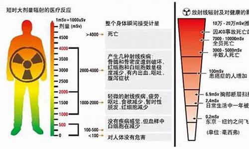 辐射最低配置,人体辐射最低的电脑系统