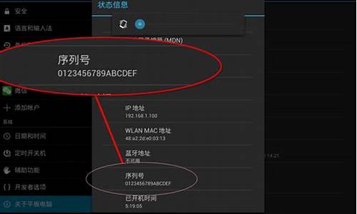 平板电脑系统序列号查询-平板电脑的序列号在哪里能查到?