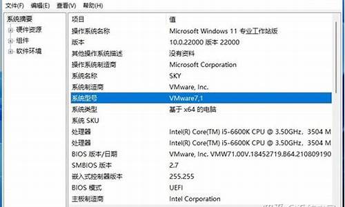 电脑系统型号是不是电脑设备名称-电脑系统型号在哪里看